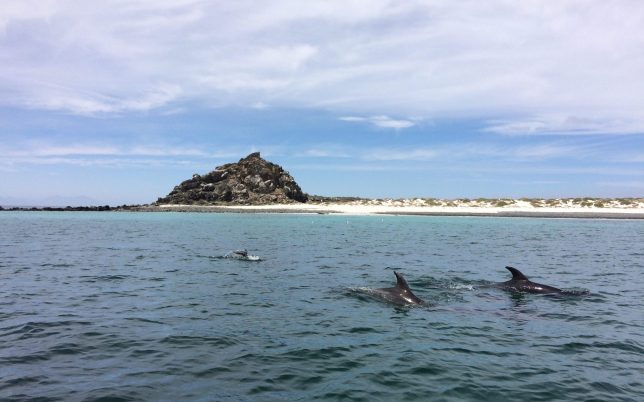 IMG_4285-scaled-e1692241557765